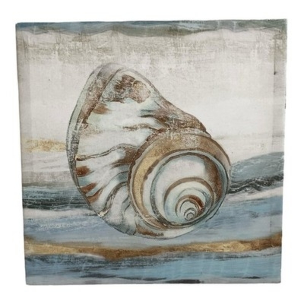 Pacific Touch Aimee Wilson Canvas Art Print SHELL Framed Wall Coastal Decor 16” - Picture 2 of 3